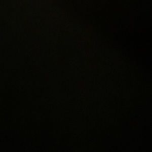 Meet your Posher, Darin